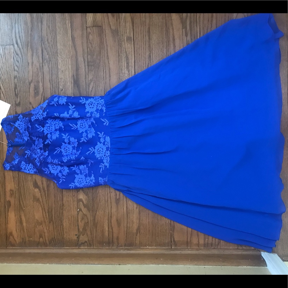 Cobalt blue lace dress by Jasmine